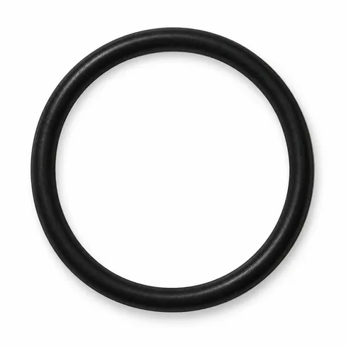 MAN O-ring 46X3N-NBR3-70 06569302107