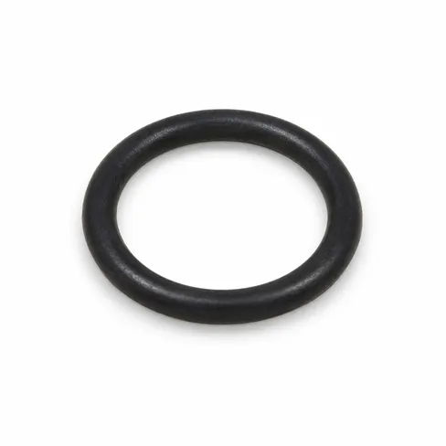 MAN O-ring 22X4-FPM1-70-GN 06569361156