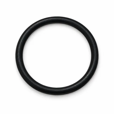 MAN O-ring 48X4N-FPM2-70 06569372168