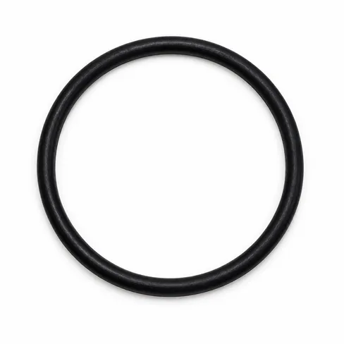 MAN O-ring 67X5N-EPDM9-70 06569390049