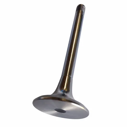 MAN Exhaust valve 51041010501