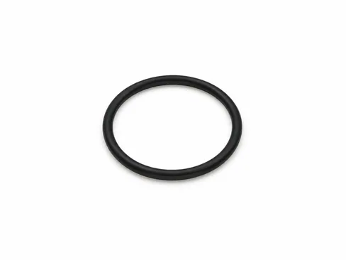 MAN O-ring 06563313261