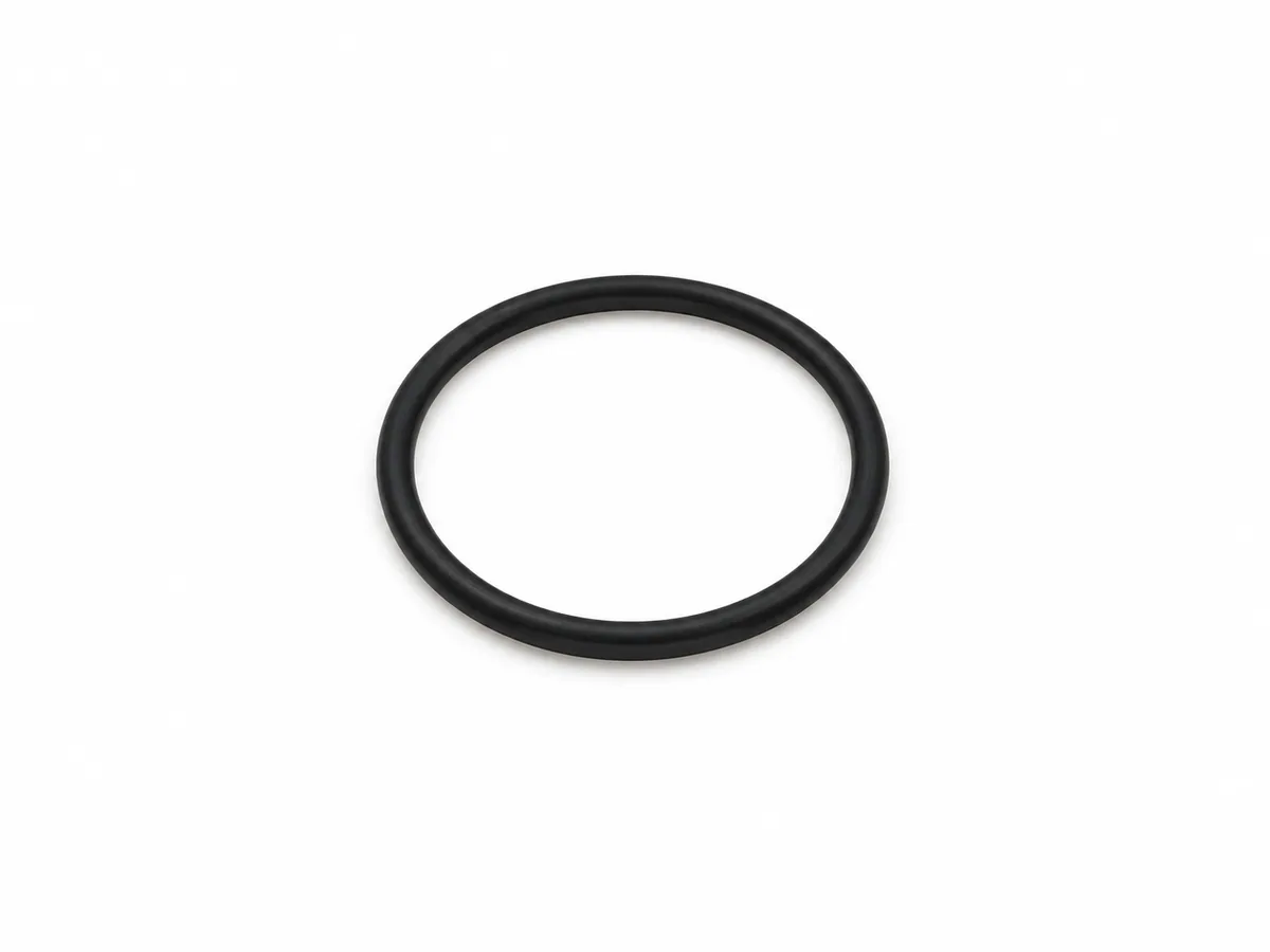 MAN O-ring 06563313261