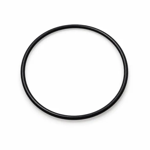 MAN O-ring 06563410234