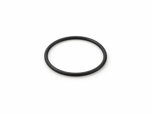 MAN O-ring 06563433219