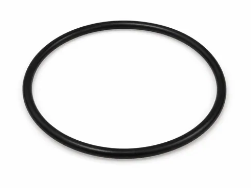 MAN O-ring 06569303846