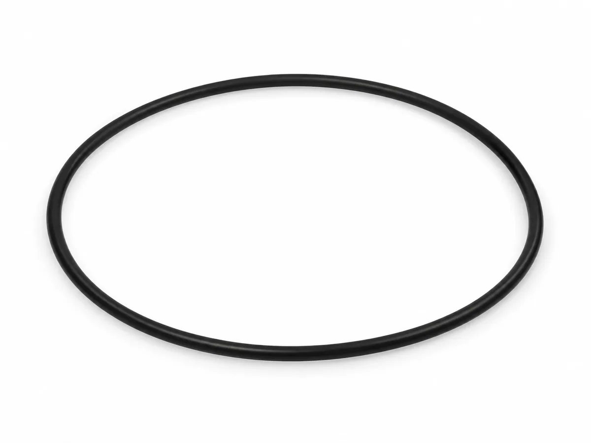 MAN O-ring 06569304096