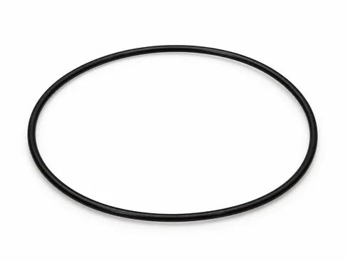 MAN O-ring 06569304502
