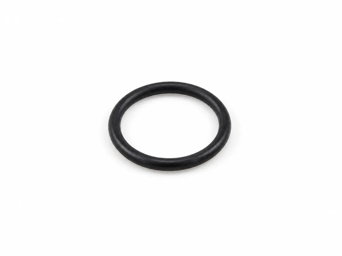 MAN O-ring 06569361399