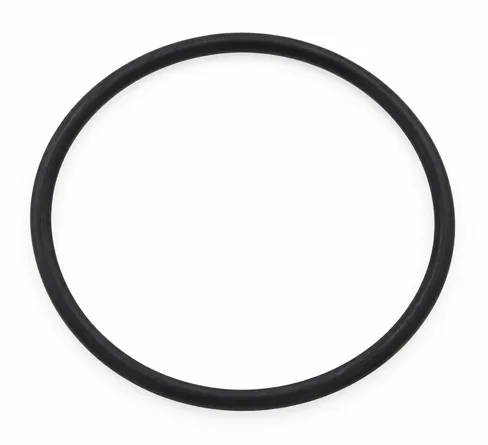 MAN O-ring 06569362495