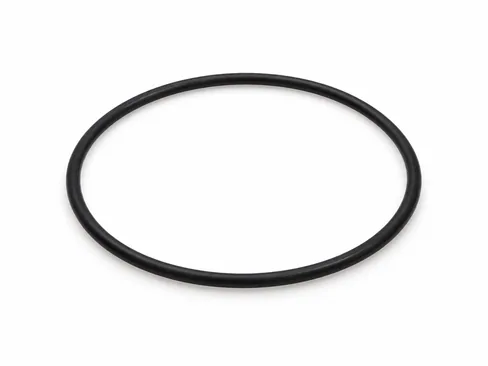 MAN O-ring 06569390034