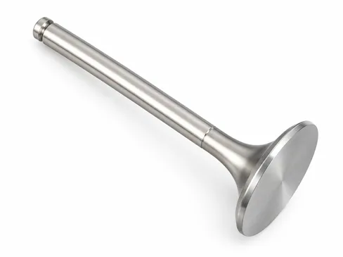 MAN Intake valve 51041010438