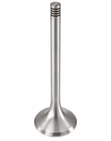 MAN Intake valve 51041010509