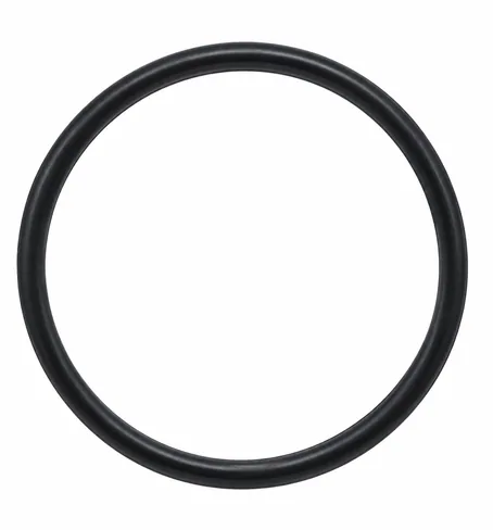 MAN Thermostat seal 51069040035