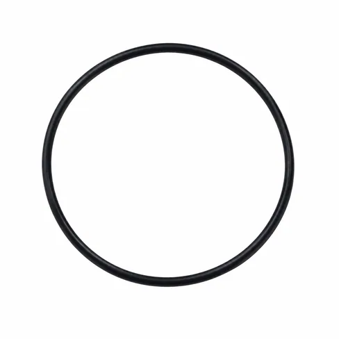 MAN Seal 51069040036