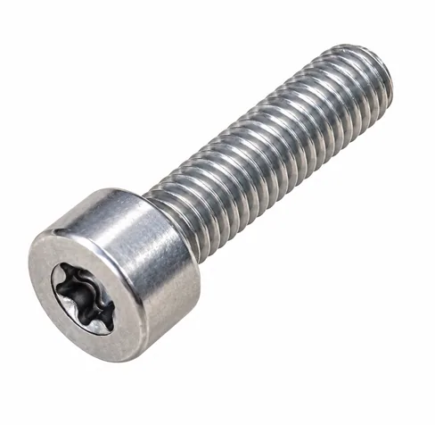 MAN Cylinder screw 51900300108