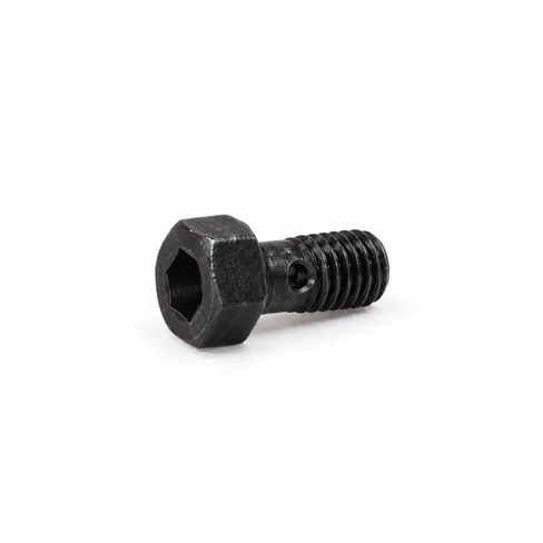 MAN Hollow screw M6X15,5E-42CRMOS4V-ZNPHR3F 51981500167
