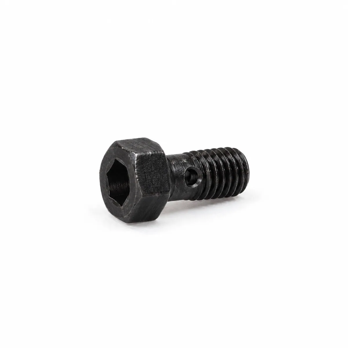 MAN Hollow screw M6X15,5E-42CRMOS4V-ZNPHR3F 51981500167