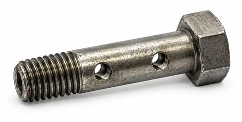MAN Hollow screw 51981500168